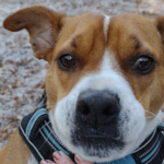 image_2025-11-05_093645746