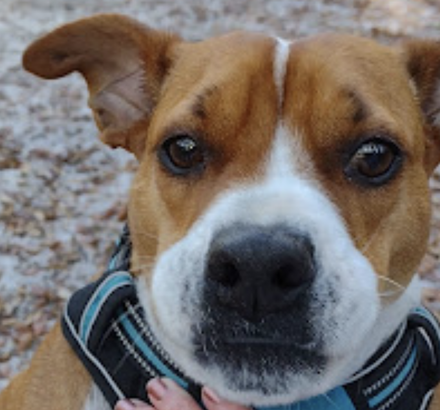 image_2025-11-05_093645746