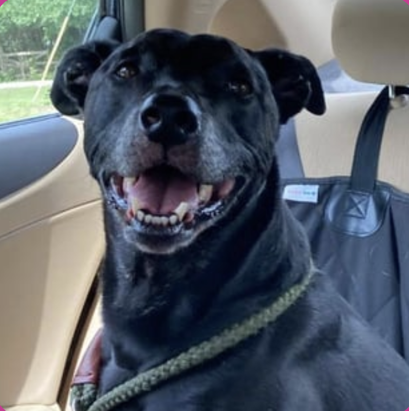 image_2025-12-20_172632610